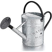 Garutom Galvanized Watering Can for Outdoor Indoor Plants, 1 Gallon Decorative Countryside Style Water Can with Removable Spout, Perfect Metal Watering Can for Indoor Plants and Garden Flower